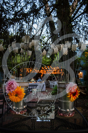 Sarah & Alex - Slideshow.170