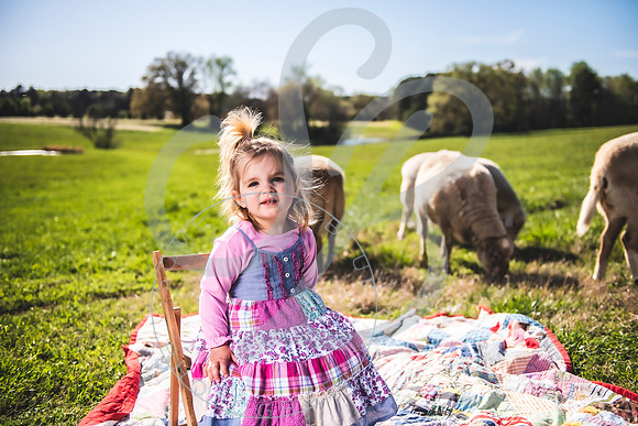 Easter Lamb Minis_040223_0159