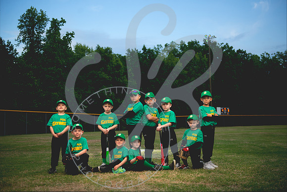Gators_Composite