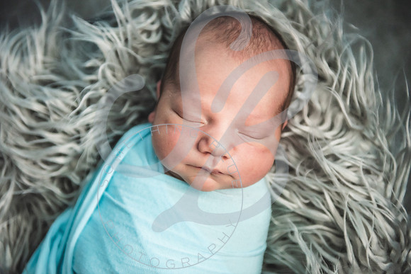 Theo - NB_061223_0203