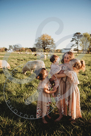Easter Lamb Minis_040223_0878