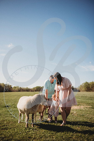 Easter Lamb Minis_040223_0450