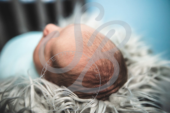 Theo - NB_061223_0251