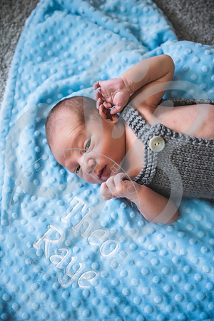 Theo - NB_061223_0378