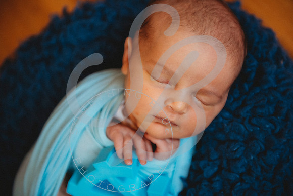 Parker - NB_050223_0356