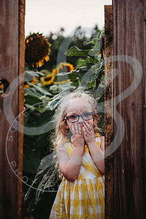 Sunflower Minis - Sherri_071422_0212