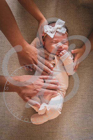 Mia - Newborn_052424_0596