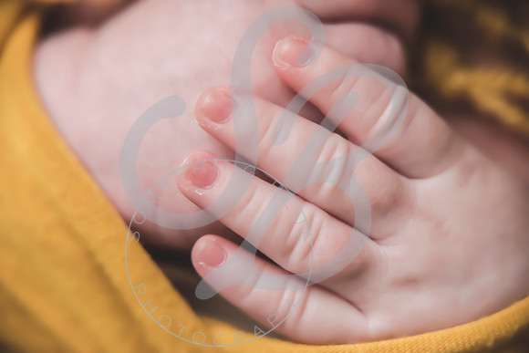 Maverick - Newborn_012122_0128