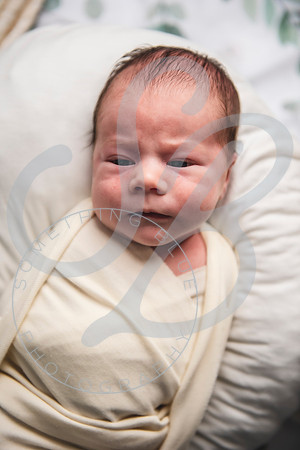 Alexander - Newborn_052522_0228