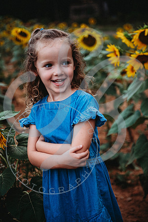 Sunflower Minis - Sherri_071422_0129