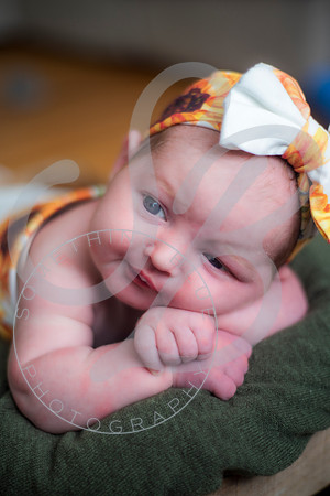 Lyla - Newborn_071325_0082