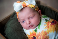 Lyla - Newborn_071325_0012