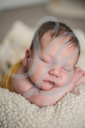 Maverick - Newborn_012122_0070