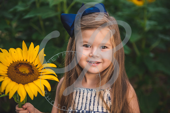 Sunflower Minis - Massie_082021_0012