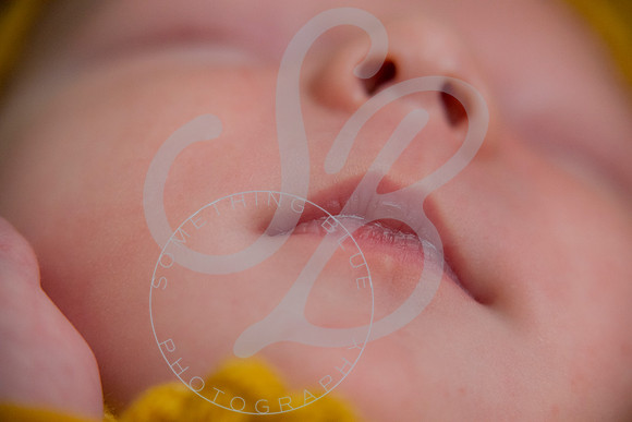 Maverick - Newborn_012122_0146