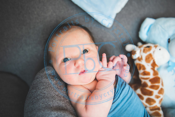 Cooper - Newborn_032321_0148