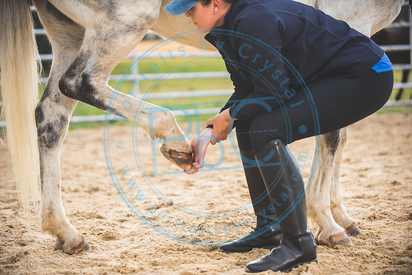 Khrystynna - Horse Work_032421_0193