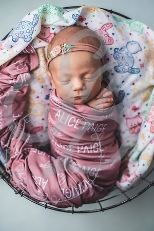 Alice - Newborn_030822_0165