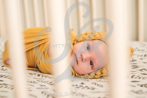 Maverick - Newborn_012122_0263