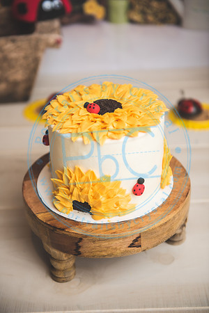 Wall - Cake Smash_041921_0111
