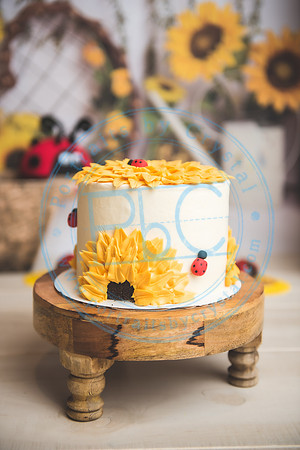 Wall - Cake Smash_041921_0113