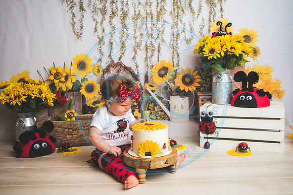 Wall - Cake Smash_041921_0115