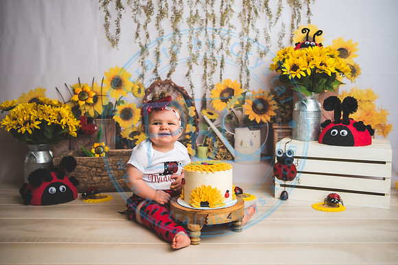 Wall - Cake Smash_041921_0120