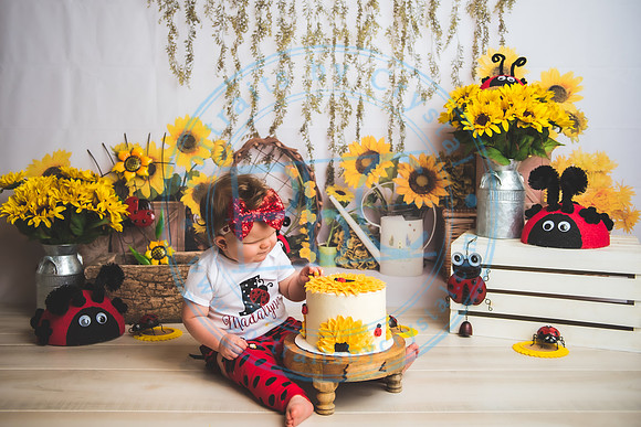 Wall - Cake Smash_041921_0128