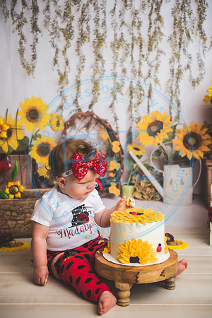 Wall - Cake Smash_041921_0133