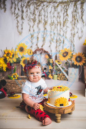 Wall - Cake Smash_041921_0139