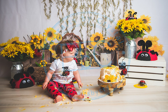 Wall - Cake Smash_041921_0154