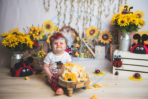 Wall - Cake Smash_041921_0179