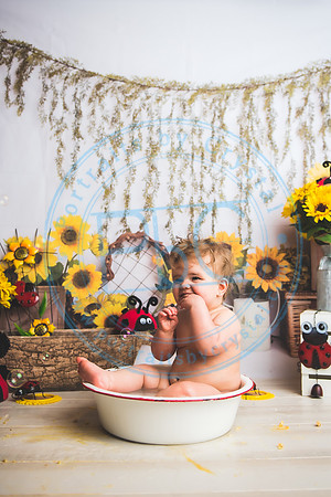 Wall - Cake Smash_041921_0213