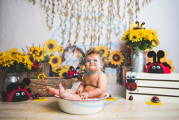 Wall - Cake Smash_041921_0220_1