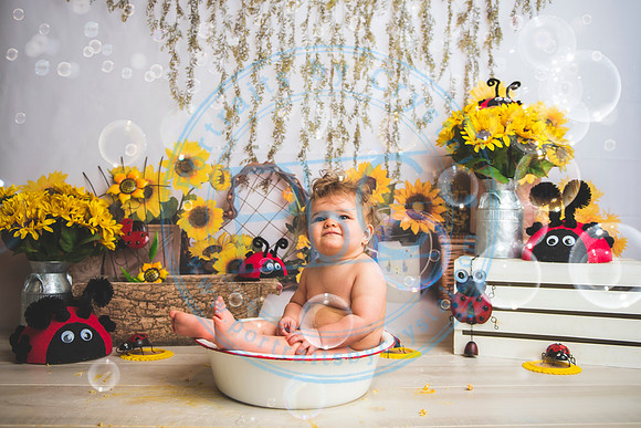 Wall - Cake Smash_041921_0220
