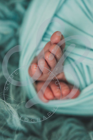 Crue - Newborn_083121_0246
