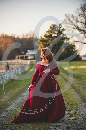 Meaghan - Maternity_032622_0432