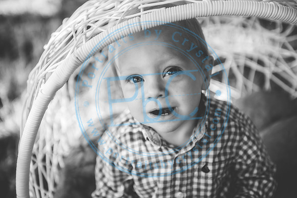 Spring Minis_050821_1420