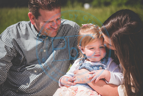 Spring Minis_050821_1543