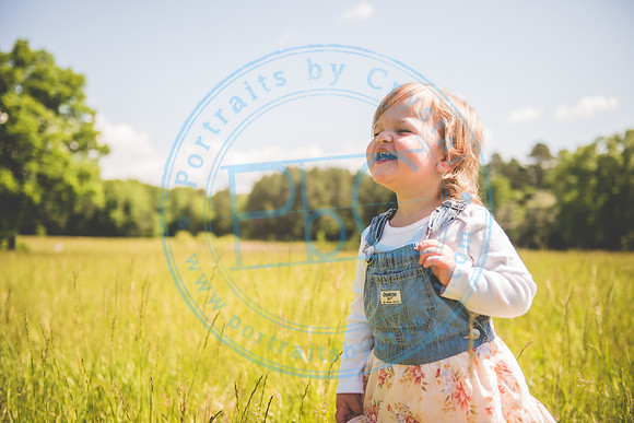 Spring Minis_050821_1638