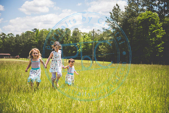Spring Minis_050821_1942