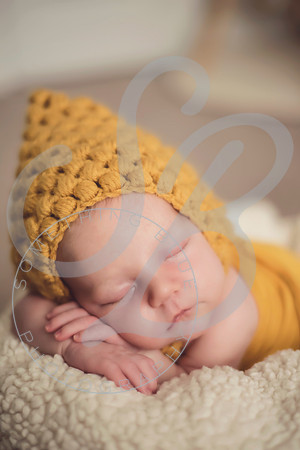 Maverick - Newborn_012122_0100