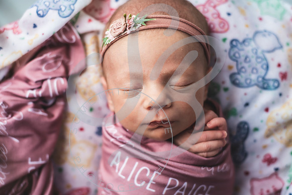 Alice - Newborn_030822_0168