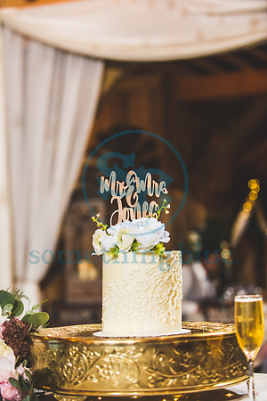 Morgan & CJ - Wedding042421.2176