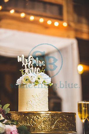 Morgan & CJ - Wedding042421.2191