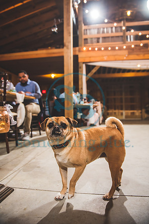 Morgan & CJ - Wedding042421.2244