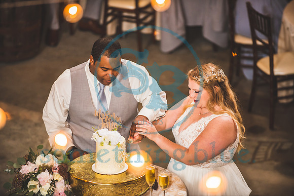 Morgan & CJ - Wedding042421.2280