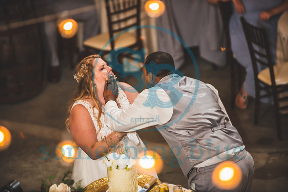 Morgan & CJ - Wedding042421.2437