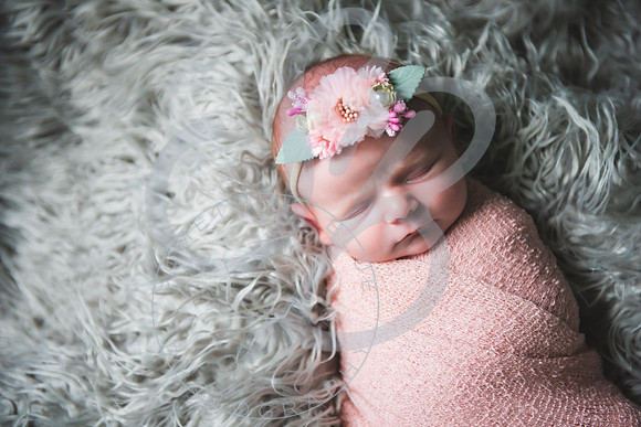 Hattie - NB_083023_0001