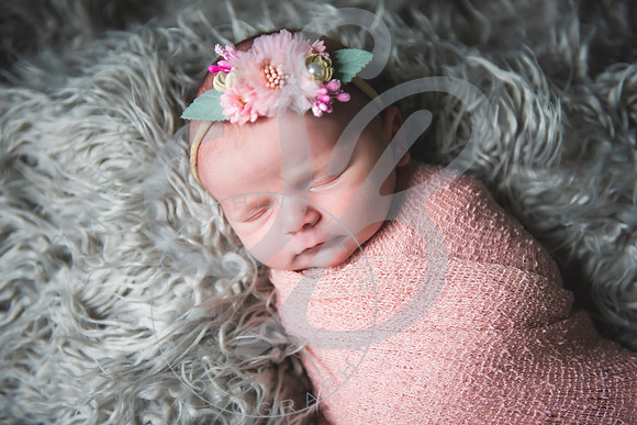 Hattie - NB_083023_0013
